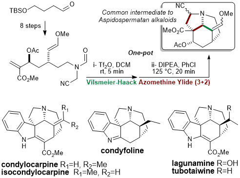 Aspidospermatan.gif