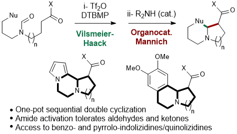 V-H organocat Mannich.gif