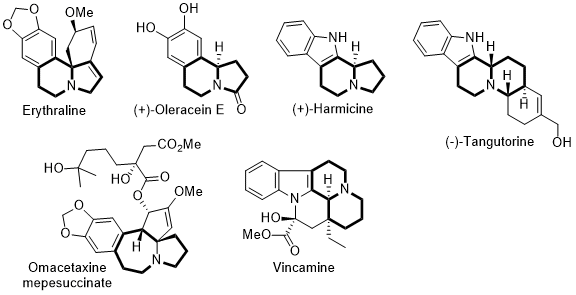 quinolizidines.gif