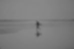 Out%252520for%252520a%252520Surf_edited_