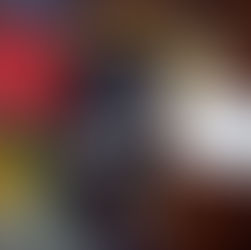 YORKI POO BOY #1 BORN 9-22-25 $800.00