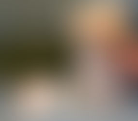  MORKIE BOY BORN 11-8-25   $800.00