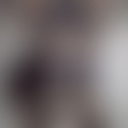 YORKSHIRE TERRIER GIRL BORN 2-20-26 SALE PENDING