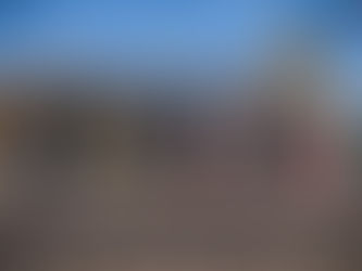 Kokie paukščiai gyvena Utenoje, visai šalia mūsų?