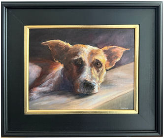 Dog Portrait
