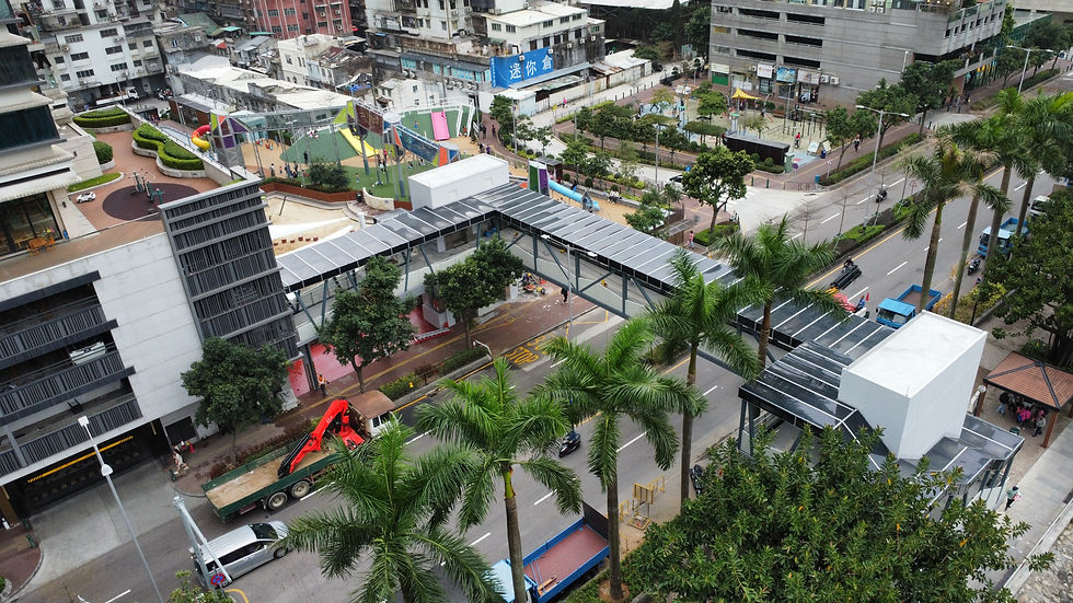 林茂行人天橋設計連建造工程.jpg