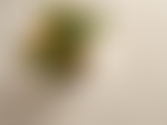 Top Tips for Spotless Carpets in Ogden, UT