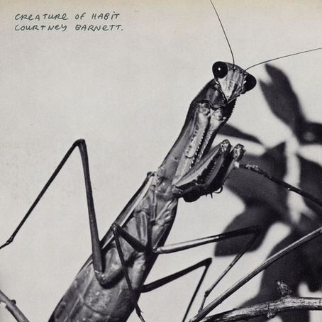 Album Review: Courtney Barnett - "Creature of Habit"
