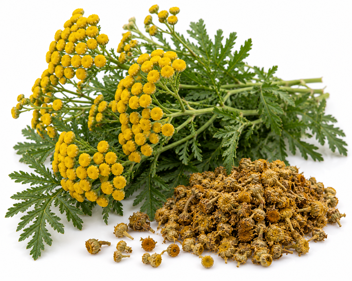 ПІЖМА ЗВИЧАЙНА (Tanacetum vulgare) 3гр