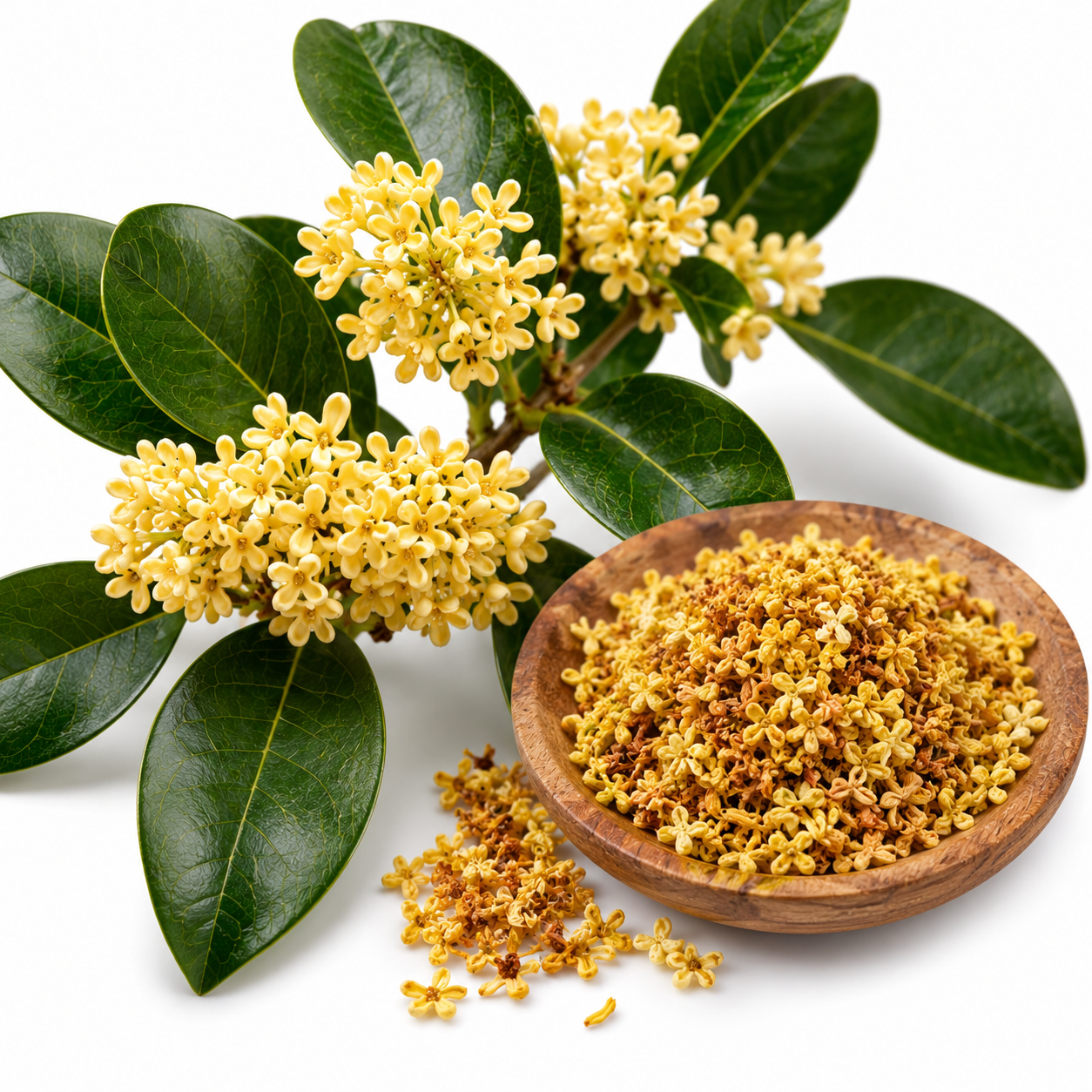 ОСМАНТУС (Osmanthus fragrans) 1гр