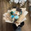 Thumbnail: Bouquet - M080