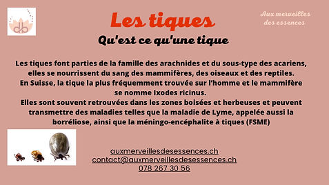 Information sur les tiques et les risques de piqures dans la nature