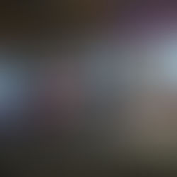 Zwei Groß Laascher Boxer und eine Boxerin starteten beim 4. Grabower Boxturnier