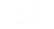 mintsky logo.png