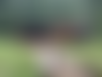 A Great Tour of the Frank Lloyd Wright Pope-Leighey House