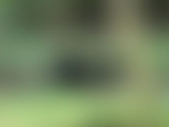 Isolation Day 56 - Happy Mother's Day!