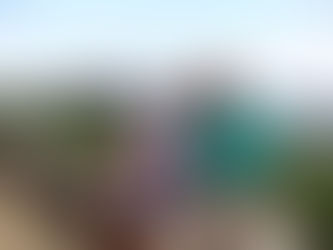 Isolation Day 71 - Surf's Up!