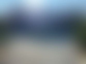 A Visit to Hillwood Estate on a Beautiful December Day