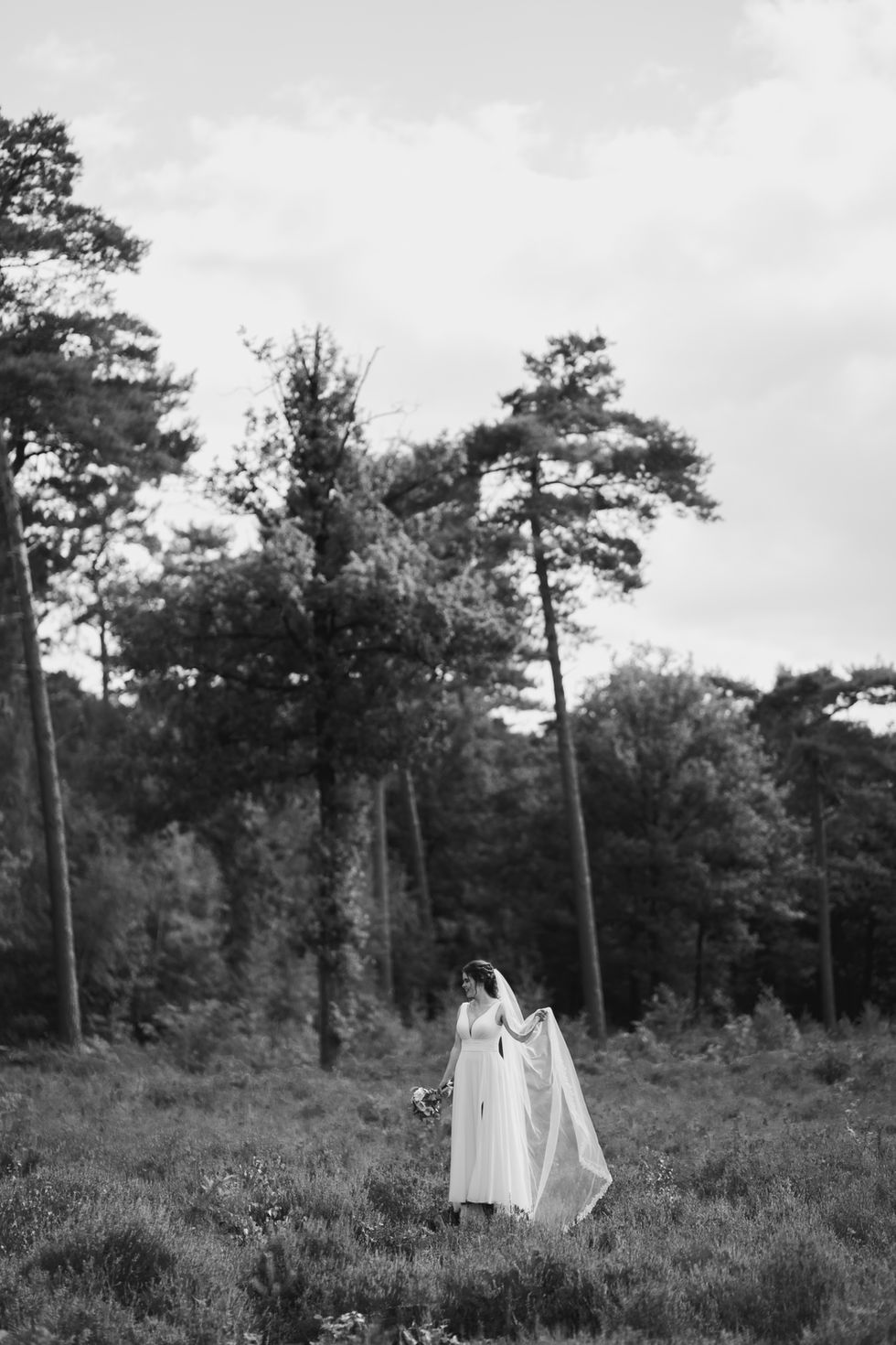 DSC07373-2