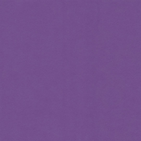 Construction Purple.jpg