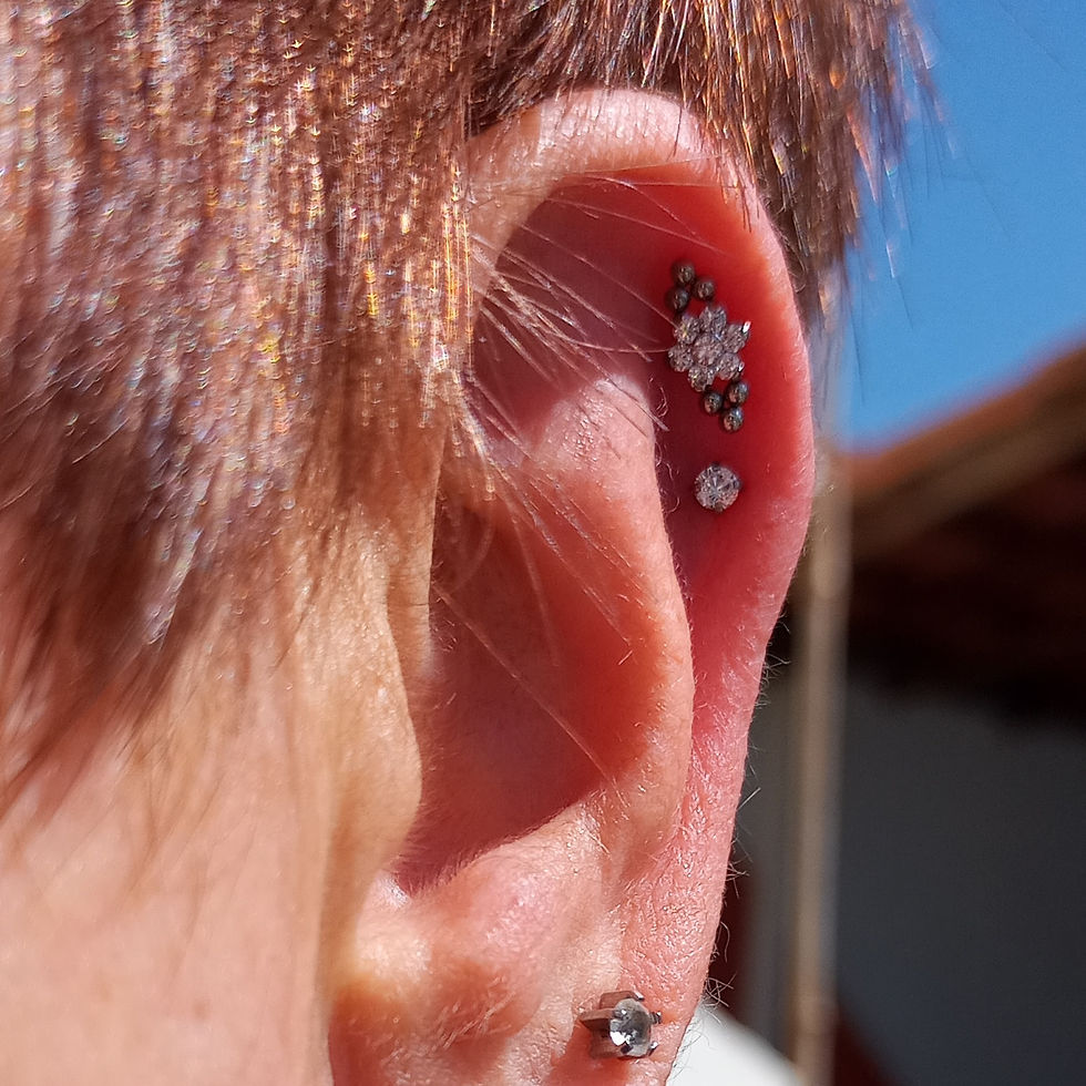 Miniatura: Projetos auriculares