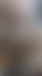 Profiting Off Cruelty: The Unregulated World of Puppy Mills