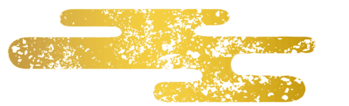 IMG_1229.png