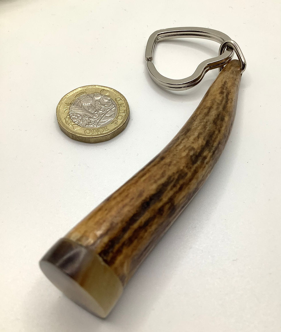 Thumbnail: Large Antler Keyring