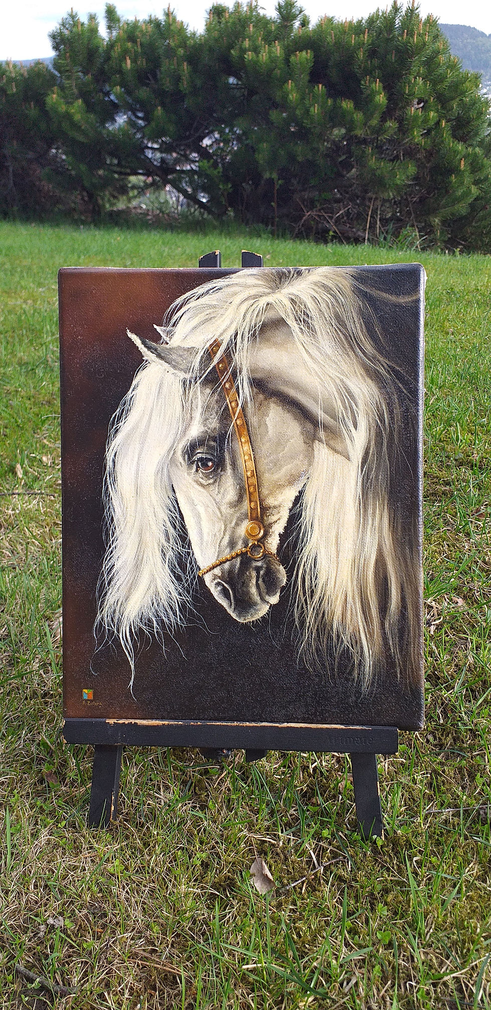 Thumbnail: WHITE HORSE HEAD