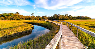 Nassau - Amelia Island - Drummond State Park.png