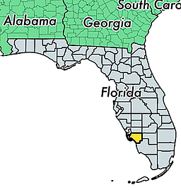 Lee - Location in Florida.png