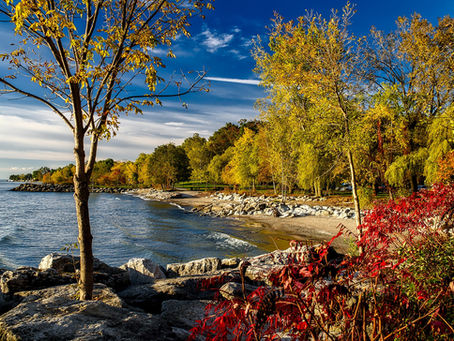 Expression of Interest to be introduced soon for Ontario Immigrant Nominee Program