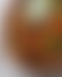 Vegan Aloo Tikki Burgers