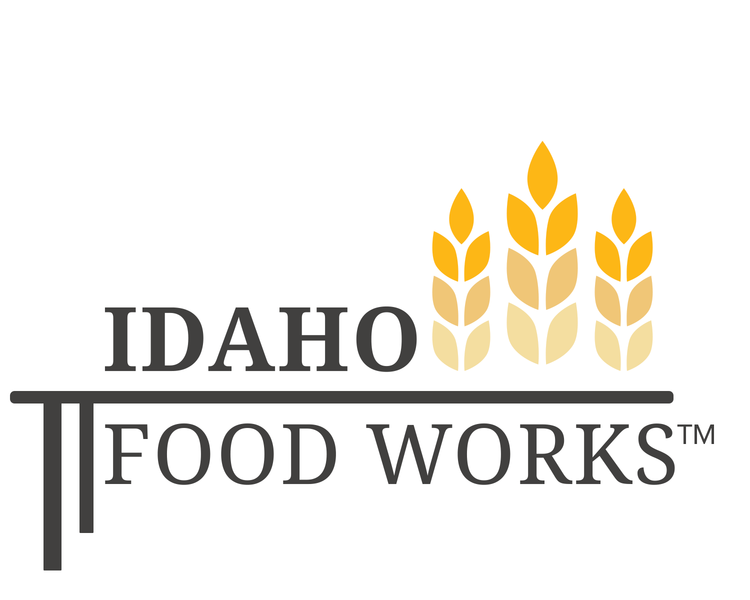 Idaho Women Town Hall: What Most People Get Wrong