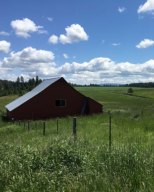Rathman Property 6-2017 resized.JPG