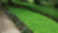 👉Tired of replacing dead grass in areas that don't grow_ Are you tired of mowing_ Consider the amaz