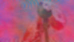 background2.jpg