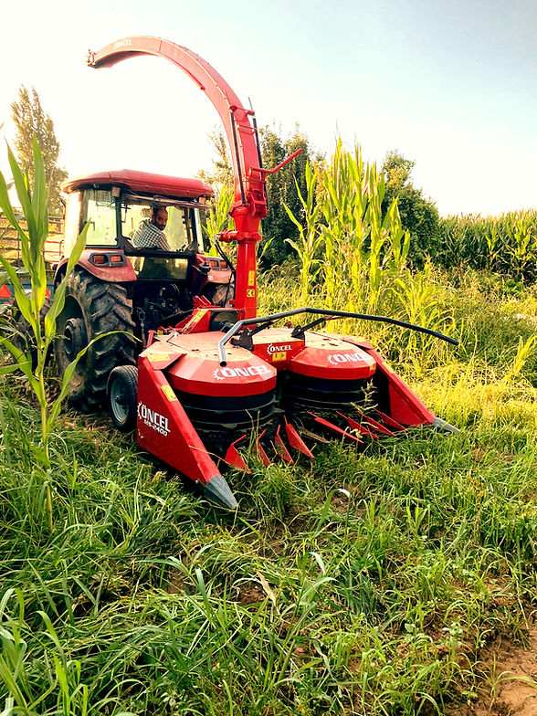 Mısır Silaj Makinesi 2_edited.jpg