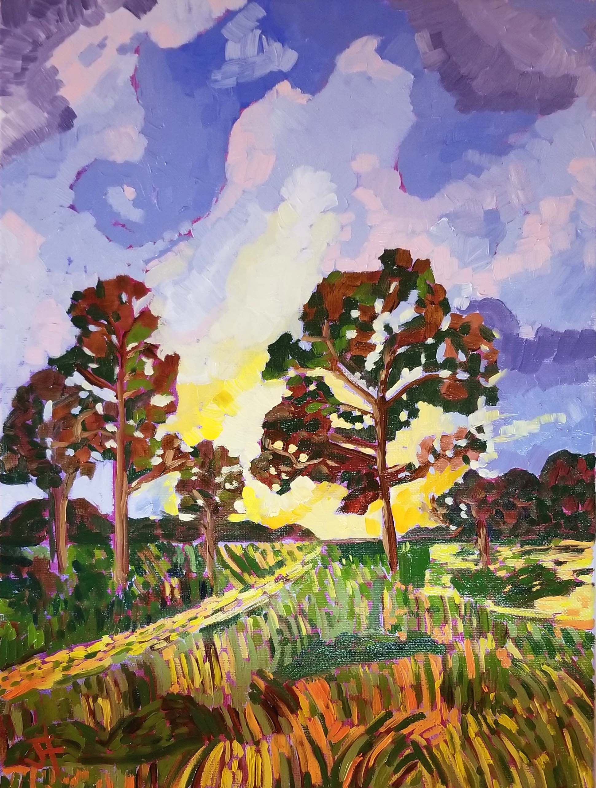 MyakkaFirstLight16x12