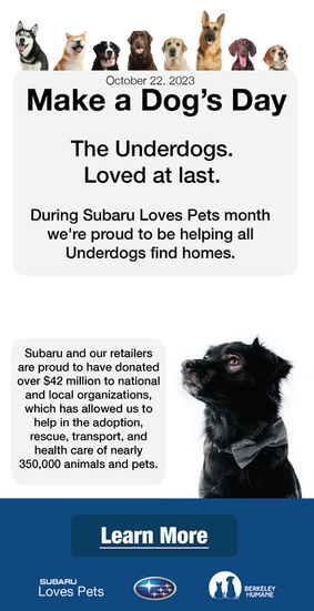 Subaru_HalfPage