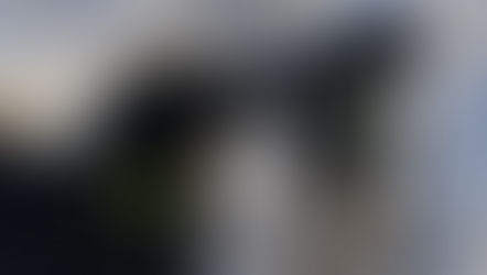 Как живут Пальма, Мия и другие обитатели приюта