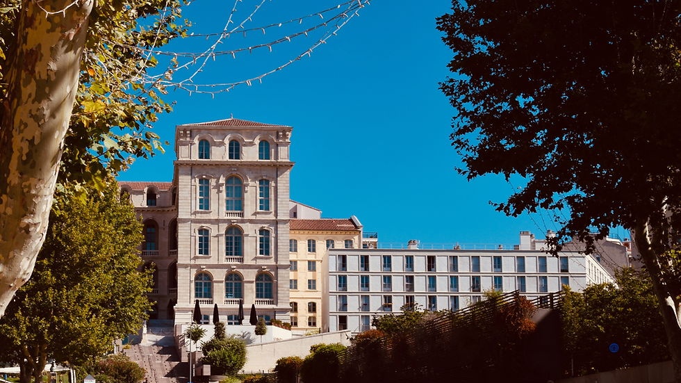 Blue And White Modern Student Study Visa Services Instagram Post (Presentation).png