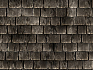 Dark streaks on roof indicating algae growth or moisture issues