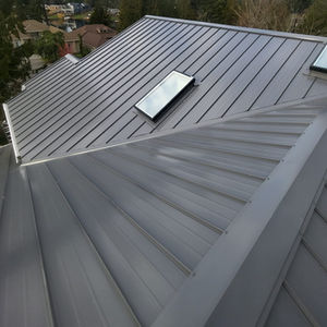 Skylights