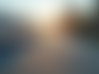 newly installed roof