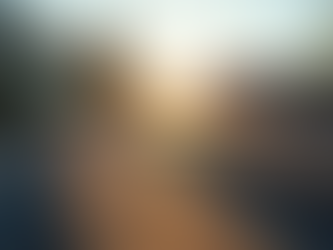 Dark colored roof reflecting light