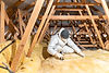 Attic Insulation Services.jpeg