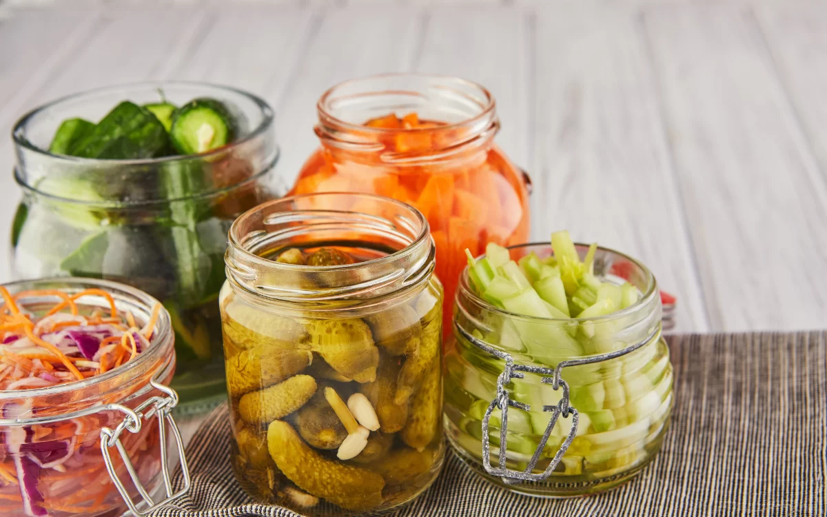 Introduction to Fermentation
