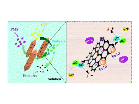 011-Fe-Fe3C_N-doped porous carbon.gif