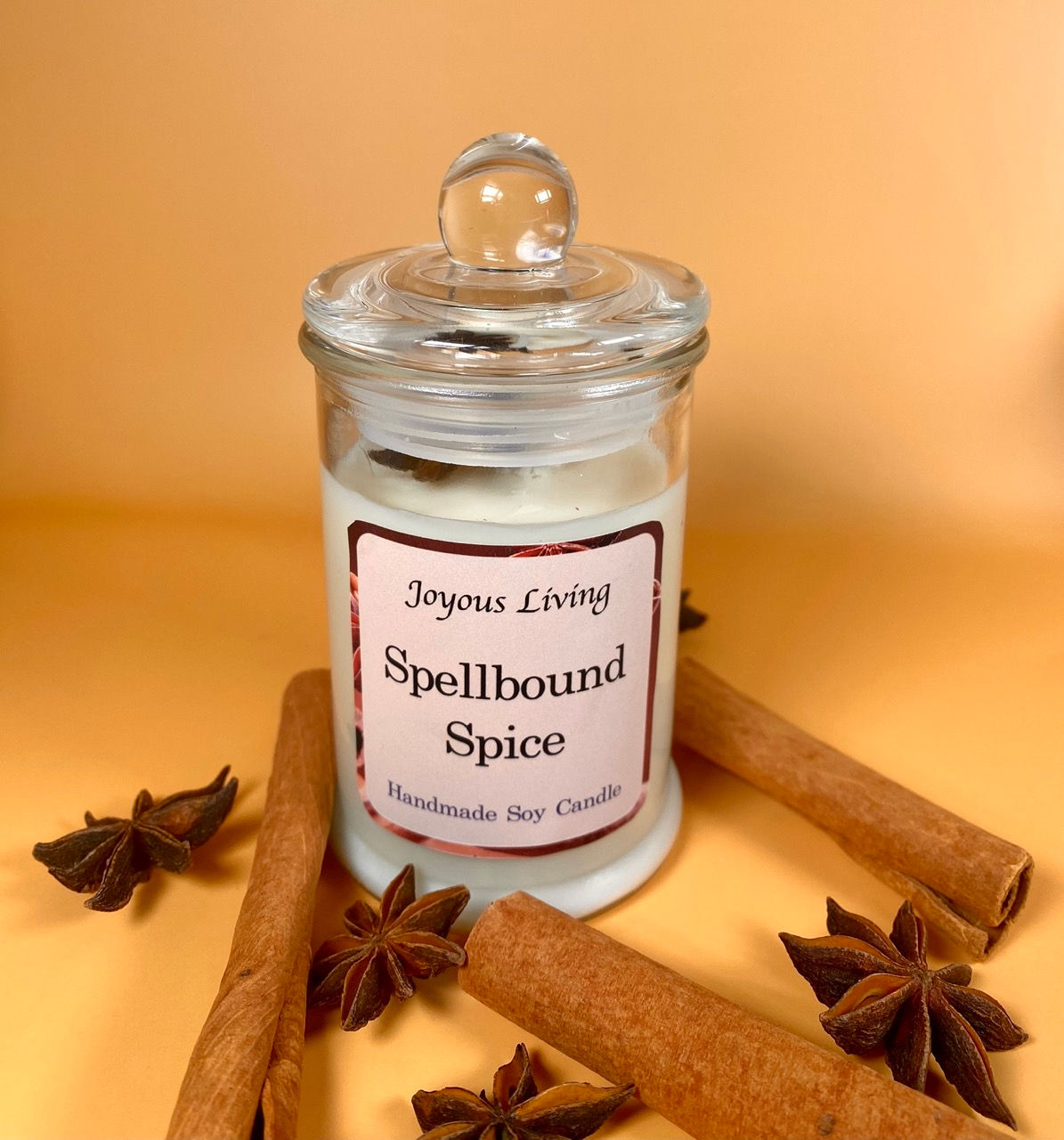Scented Soy Candle - Spelbound Spice